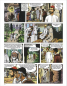 Preview: CHARLES DE FOUCAULD Comic