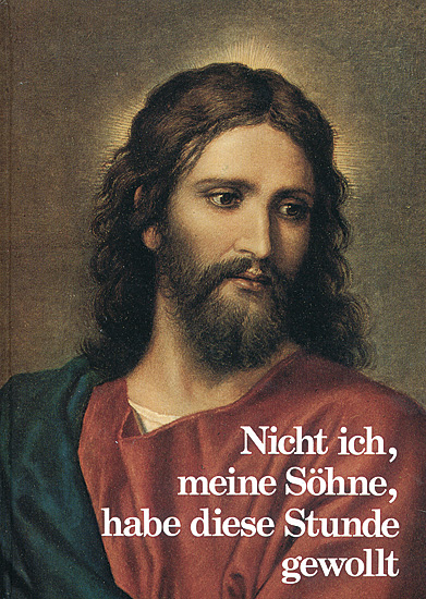 NICHT ICH MEINE SÖHNE